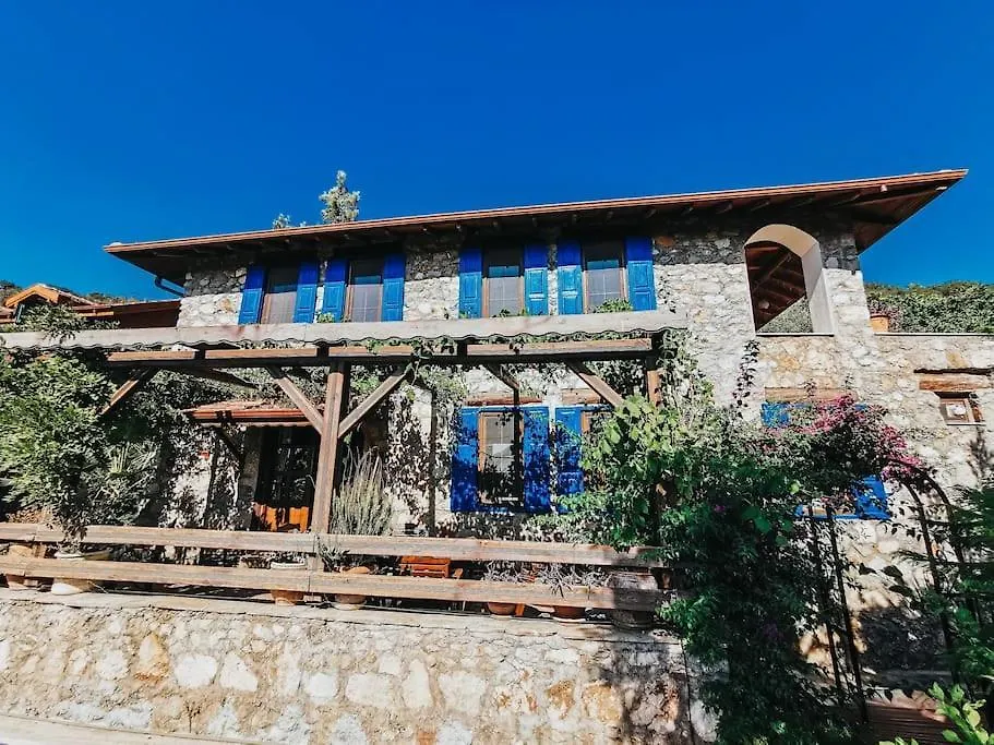 Orman Icinde Muhtesem Villa Kayaköy
