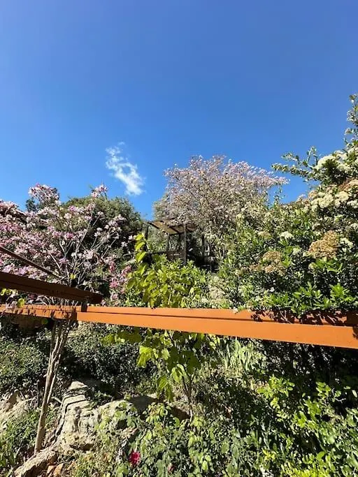 Orman Icinde Muhtesem Villa Kayaköy