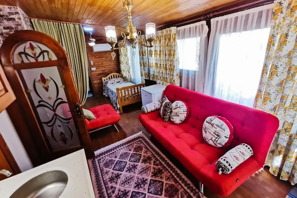 Orman Icinde Muhtesem Villa Kayaköy