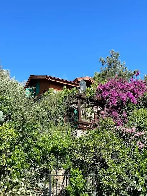 Orman Icinde Muhtesem Villa Kayakoy