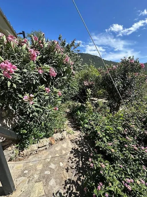 Orman Icinde Muhtesem Villa Kayakoy 0*,  Turkey