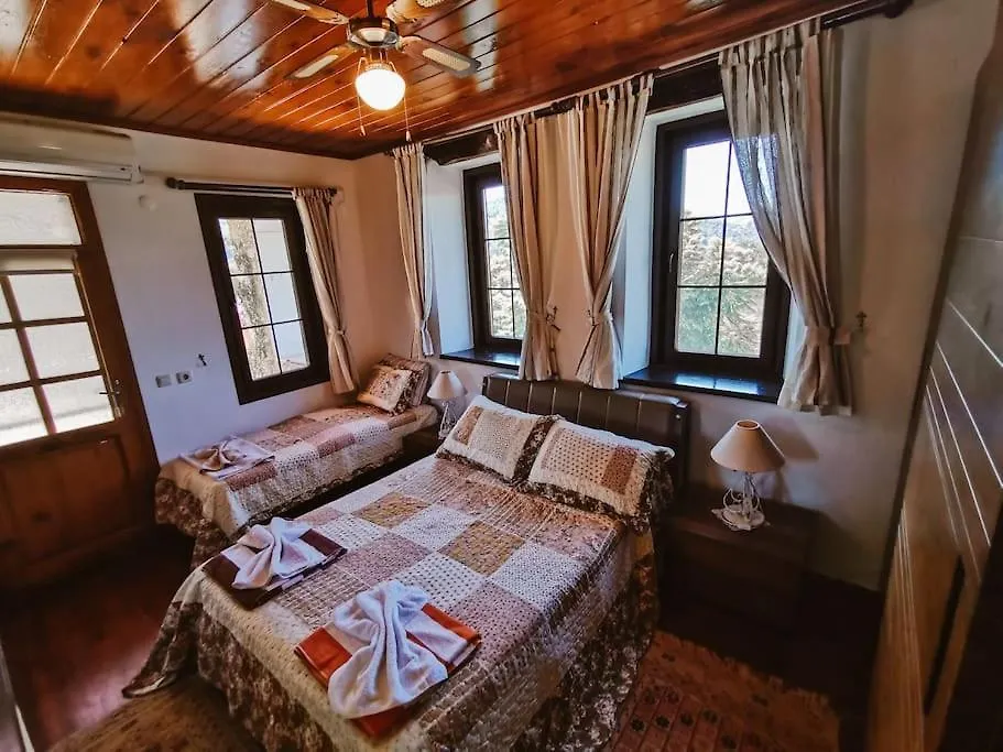 Orman Icinde Muhtesem Villa Kayaköy