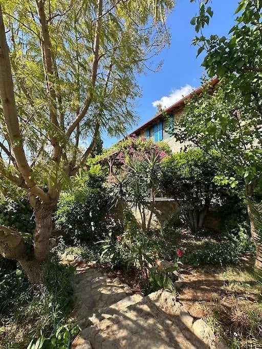 Orman Icinde Muhtesem Villa Kayakoy