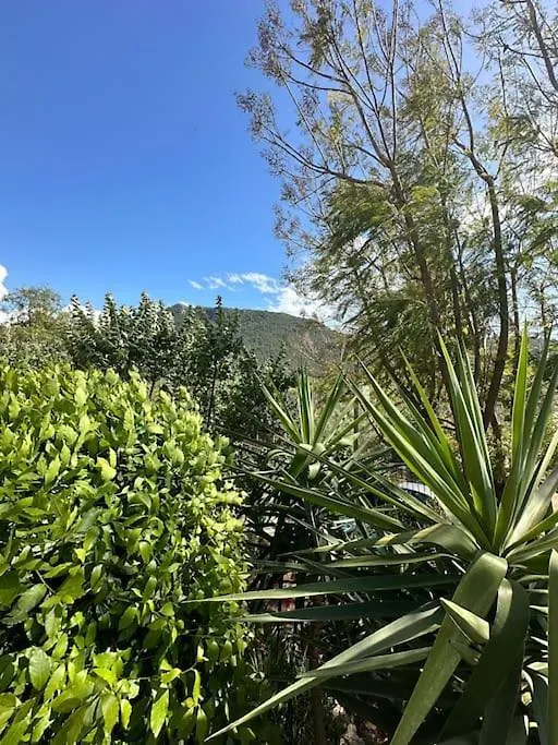 Orman Icinde Muhtesem Villa Kayakoy