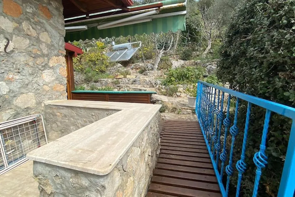 Orman Icinde Muhtesem Villa Kayaköy