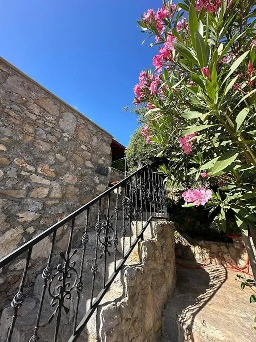 Orman Icinde Muhtesem Villa Kayakoy 0*,  Turkey