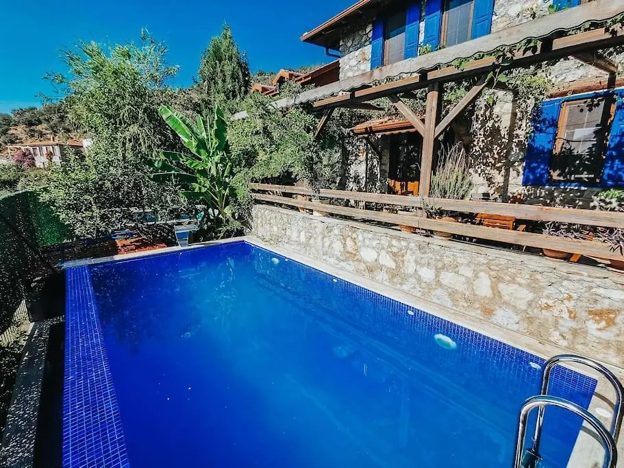 Orman Icinde Muhtesem Villa Kayakoy 0*,